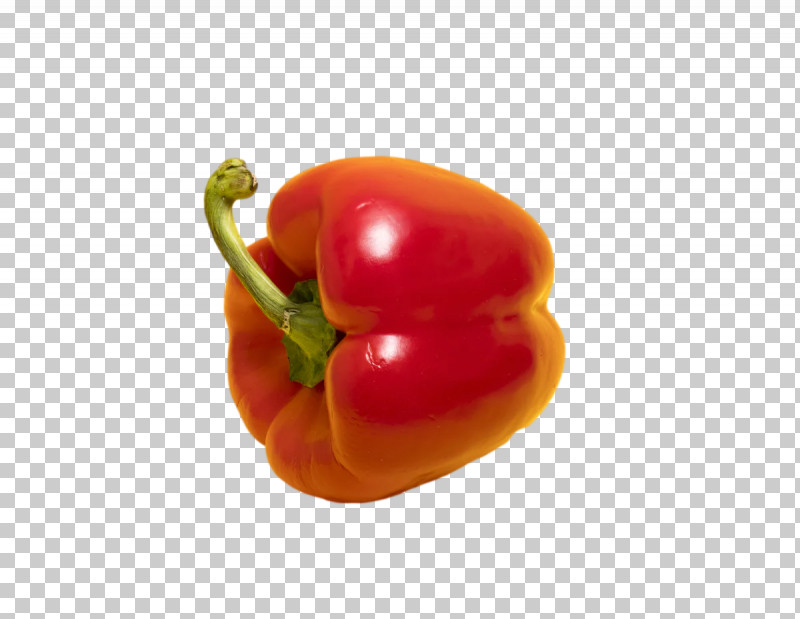 Tomato PNG, Clipart, Bell Pepper, Cayenne Pepper, Friggitello, Fruit, Habanero Free PNG Download