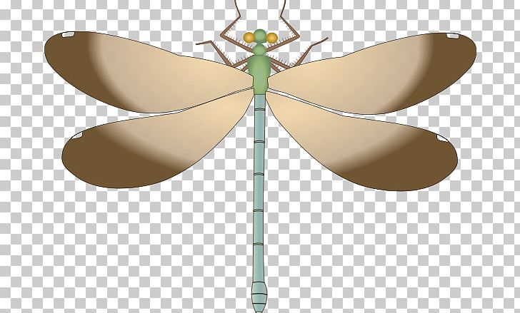 Dragonfly Drawing PNG, Clipart, Arthropod, Butterfly, Dragonfly, Drawing, Ebony Jewelwing Free PNG Download