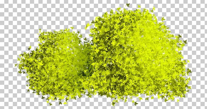 Green PNG, Clipart, Cartoon, Copyright, Download, Google Images, Grass Free PNG Download