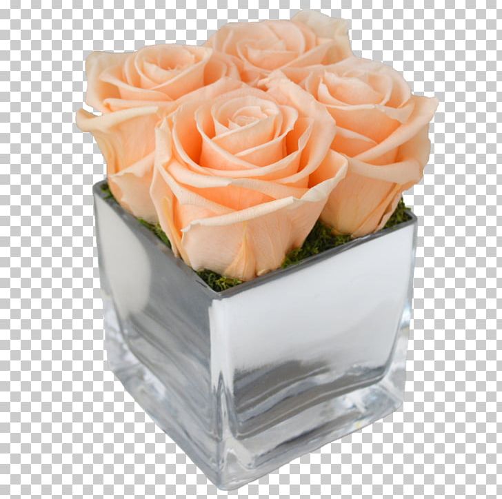 Garden Roses Cut Flowers Four Roses PNG, Clipart, Buttercream, Cream, Cube, Cut Flowers, Flavor Free PNG Download