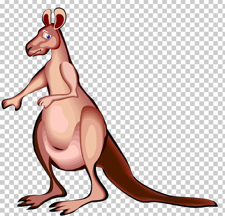 Kangaroo PNG, Clipart, Animal Figure, Cartoon, Download, Drawing, Fauna Free PNG Download
