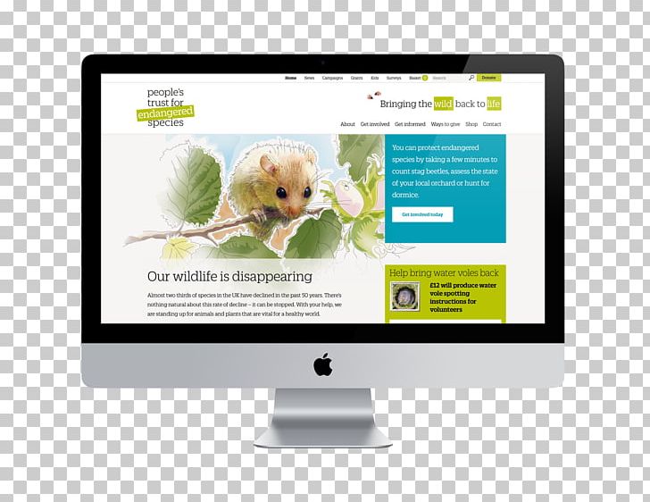 Responsive Web Design Web Development Advertising Web Banner PNG, Clipart, Advertising, Brand, Business, Computer Monitor, Display Advertising Free PNG Download
