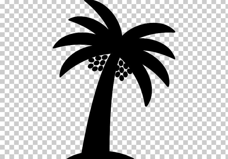 Arecaceae Date Palm Logo PNG, Clipart, Arecaceae, Arecales, Black And White, Branch, Coconut Free PNG Download
