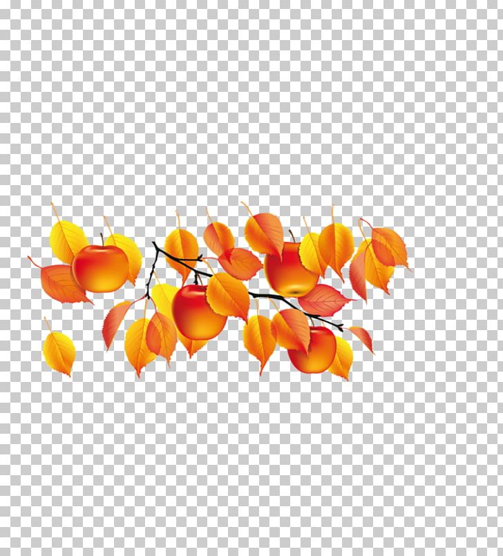 Autumn Summer Daytime PNG, Clipart, Adobe After Effects, Animation, Autumn, Autumn Leaf, Daytime Free PNG Download