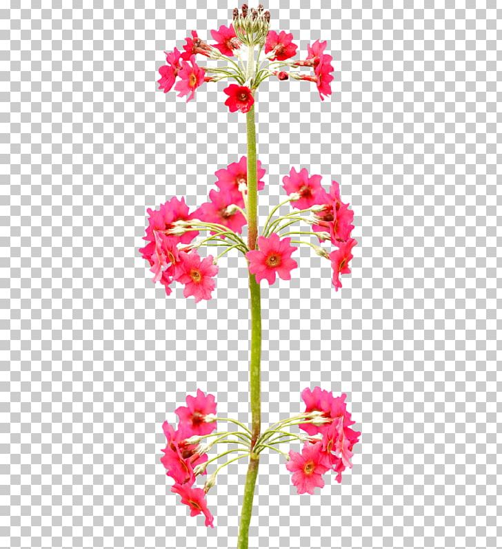 Cut Flowers Floral Design PNG, Clipart, Animation, Cicek, Cicekler, Clip Art, Cok Guzel Free PNG Download