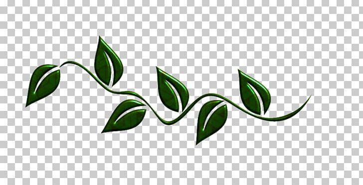 Leaf Flower PNG, Clipart, Branch, Brand, Desktop Wallpaper, Flora, Flower Free PNG Download