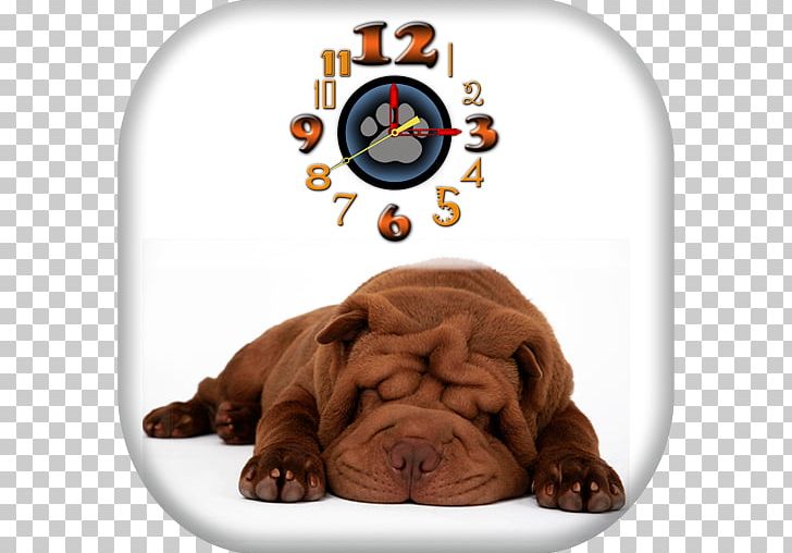 Shar Pei Puppy French Bulldog Pug PNG, Clipart, Animal, Animals, Breed, Bulldog, Carnivoran Free PNG Download