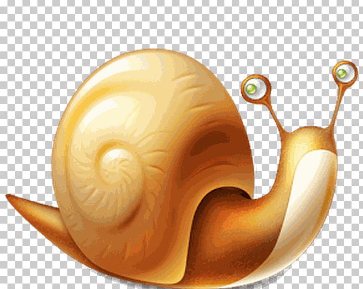 Slow Snail Computer Icons PNG, Clipart, Animals, Computer Icons, Font Awesome, Freshwater Snail, Gastropods Free PNG Download
