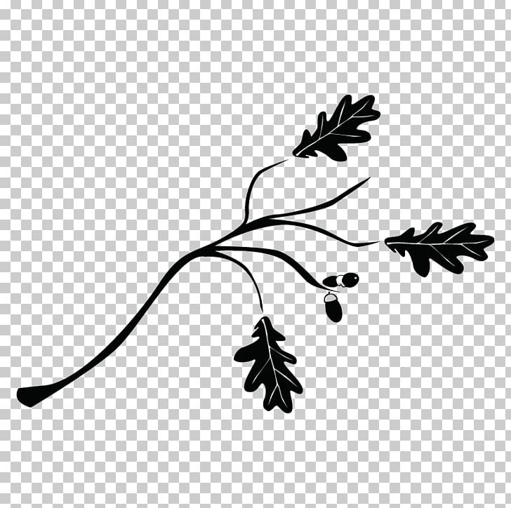 Branch Tree Leaf Drawing Twig PNG, Clipart, Black And White, Branch, Drawing, Flora, Flower Free PNG Download