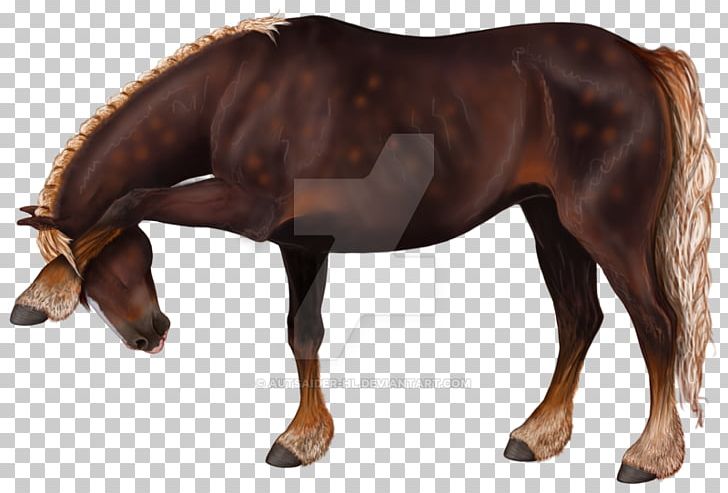 Foal Rein Mane Stallion Mare PNG, Clipart, Bridle, Colt, Facepalm, Foal, Halter Free PNG Download