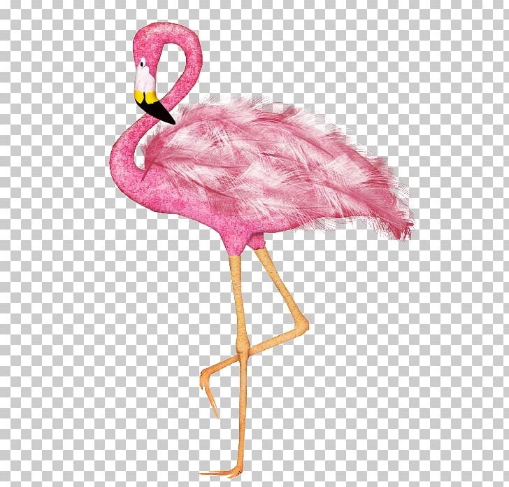 Water Bird Greater Flamingo Drawing Animal PNG, Clipart, Animal, Animals, Beak, Bird, Color Free PNG Download