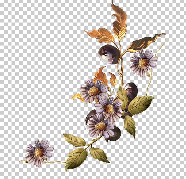 Bokmxe4rke PNG, Clipart, Bokmxe4rke, Chrysanthemum, Color, Com File, Download Free PNG Download