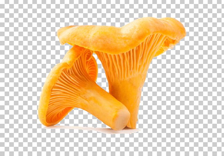 Chanterelle Craterellus Tubaeformis Clitocybe Nebularis Fungus Edible Mushroom PNG, Clipart, Boletus Edulis, Chanterelle, Clitocybe Nebularis, Craterellus, Craterellus Tubaeformis Free PNG Download