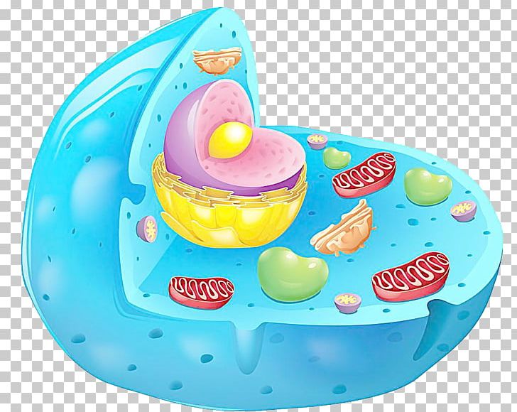 Cxe8lxb7lula Animal Cell Membrane Plant Cell PNG, Clipart, Anatomy, Animal, Biological Membrane, Biology, Cake Free PNG Download