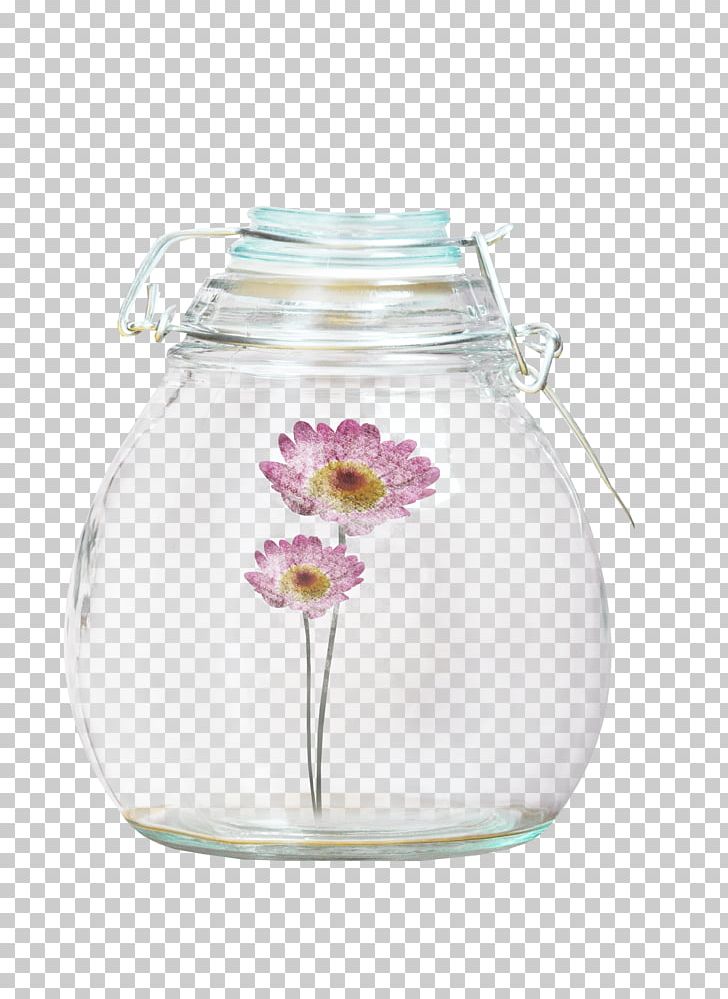 Glass Vase Bottle Transparency And Translucency PNG, Clipart, Bottle, Chrysanthemum, Drinkware, Flower, Flowers Free PNG Download