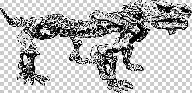 Dinosaur Fossils Dinosaur Fossils Paleontology PNG, Clipart, Art, Artwork, Black And White, Carnivoran, Dinosaur Free PNG Download