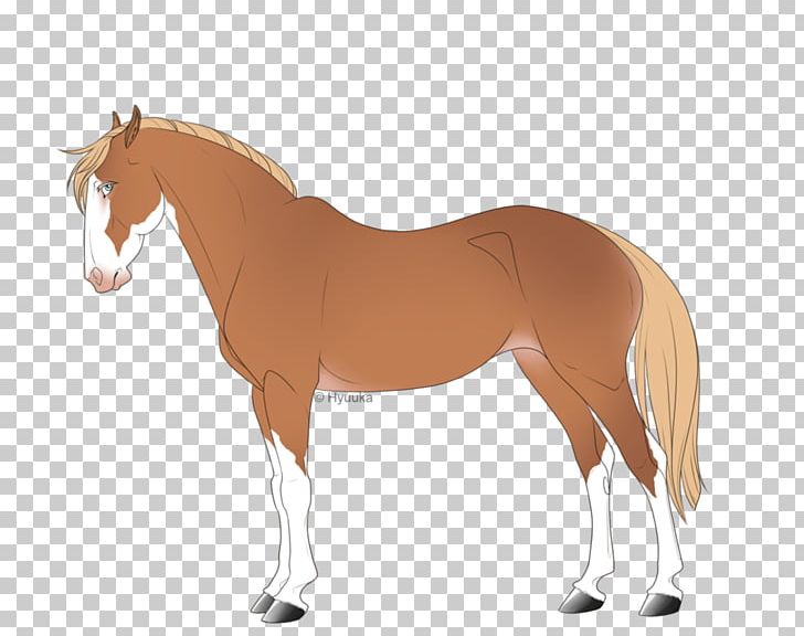 Foal Pony Stallion Mare Mane PNG, Clipart, Bay 13, Bridle, Colt, Foal, Halter Free PNG Download