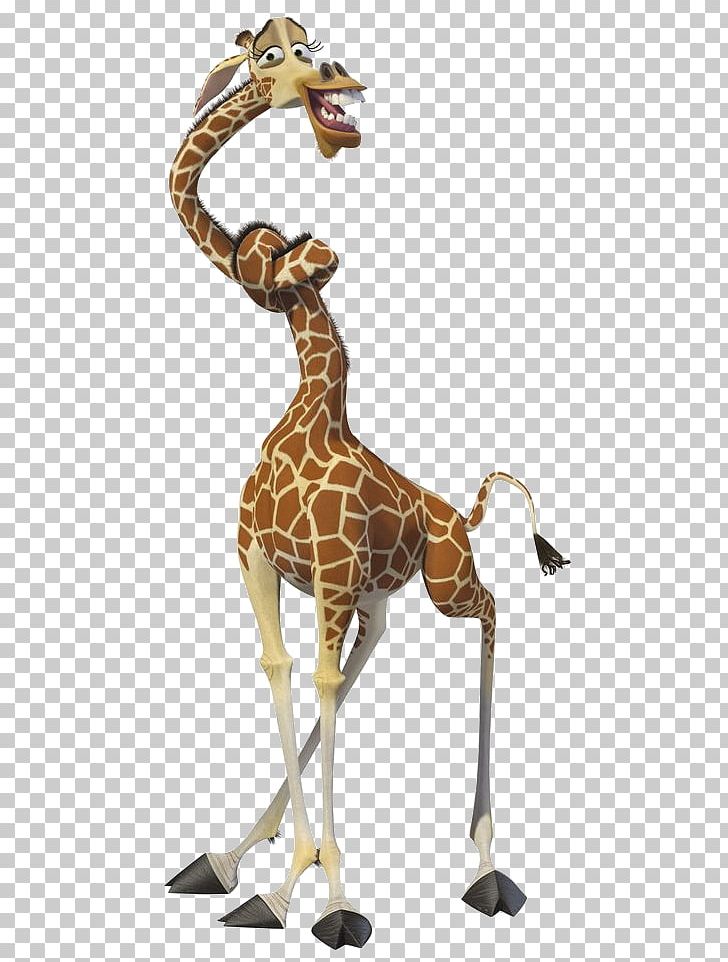 Melman Alex Giraffe Madagascar PNG, Clipart, Alex, Animal Figure, Animals, Character, Drawing Free PNG Download