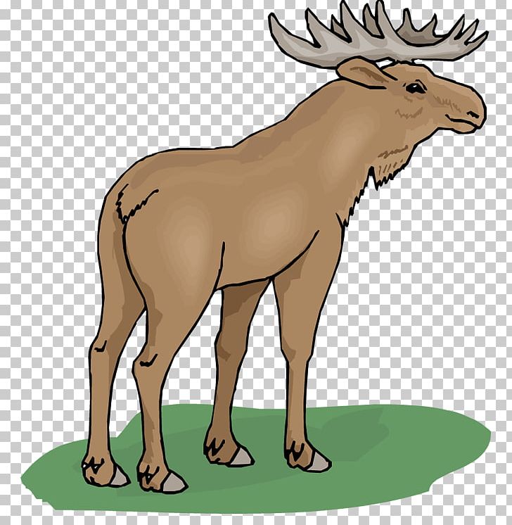 Moose Cartoon PNG, Clipart, Animal Figure, Animation, Antelope, Antler, Cartoon Free PNG Download