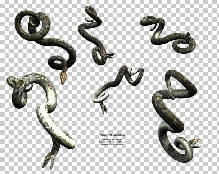 Snake Reptile PNG, Clipart, Anaconda, Animals, Ball Python, Body Jewelry, Carpet Python Free PNG Download