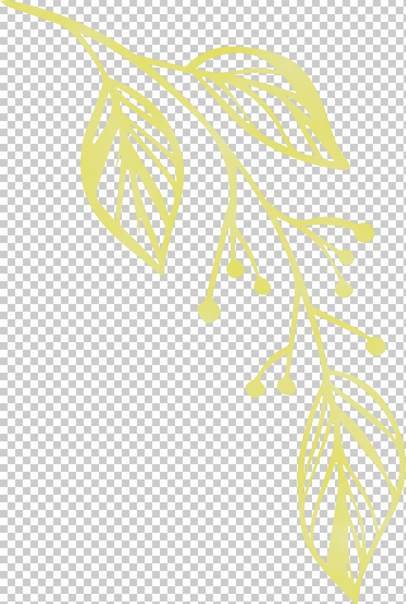 Plant Stem Leaf Yellow Line Fruit PNG, Clipart, Biology, Flower, Fruit, Leaf, Line Free PNG Download