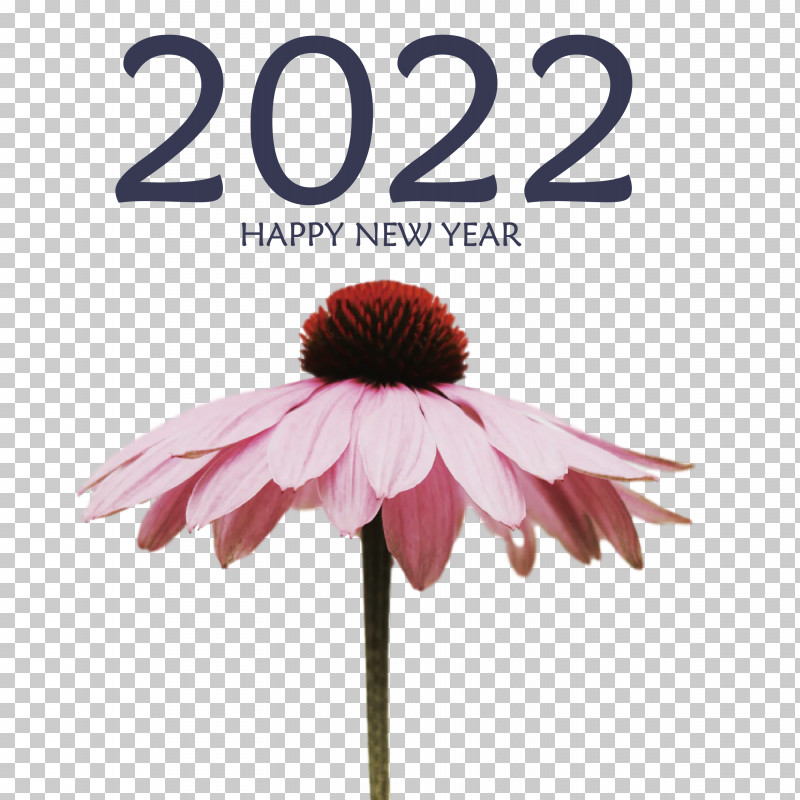 2022 Happy New Year 2022 New Year 2022 PNG, Clipart, Amazon Music, Coneflower, Health, Herbal Medicine, Syrup Free PNG Download