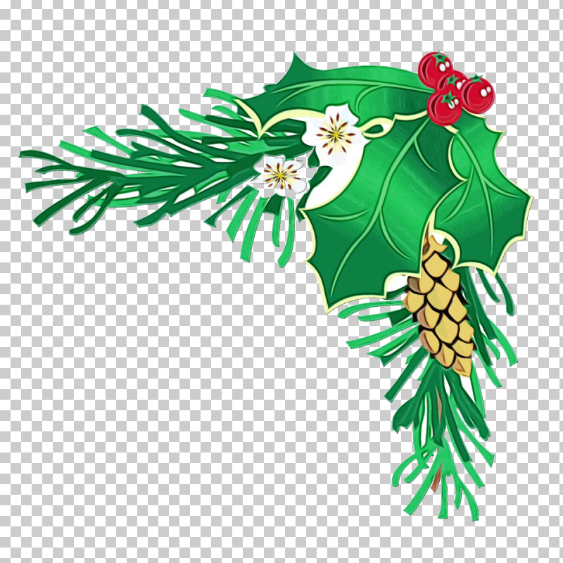 Holly PNG, Clipart, Branch, Conifer, Fir, Flower, Holly Free PNG Download