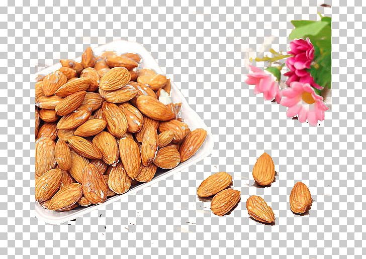 Almond Apricot Kernel Nut Food PNG, Clipart, Almond, Apricot, Apricot Kernel, Cashew, Eating Free PNG Download