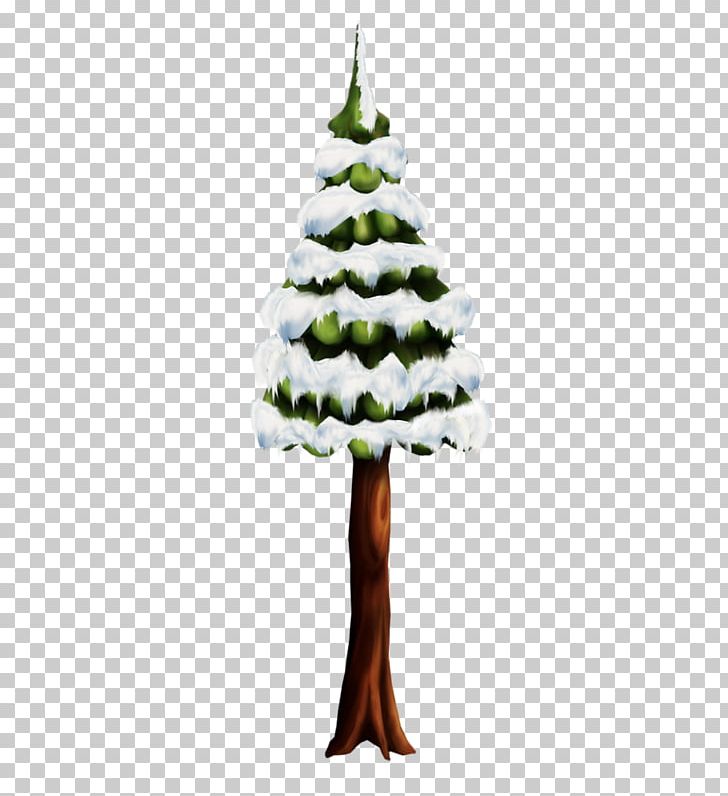 Cedar Pine Fir Christmas Tree PNG, Clipart, Cedar, Cedar Pine, Christmas, Christmas Decoration, Christmas Ornament Free PNG Download