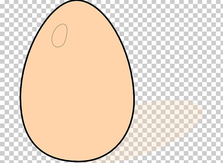 Bird Egg Bird Egg Bird Nest PNG, Clipart, Area, Bird, Bird Egg, Bird Nest, Chicken Egg Free PNG Download