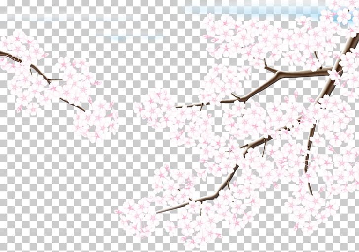 Cherry Blossom Adobe Illustrator PNG, Clipart, Angle, Blossom, Blossoms, Blossoms Vector, Branch Free PNG Download