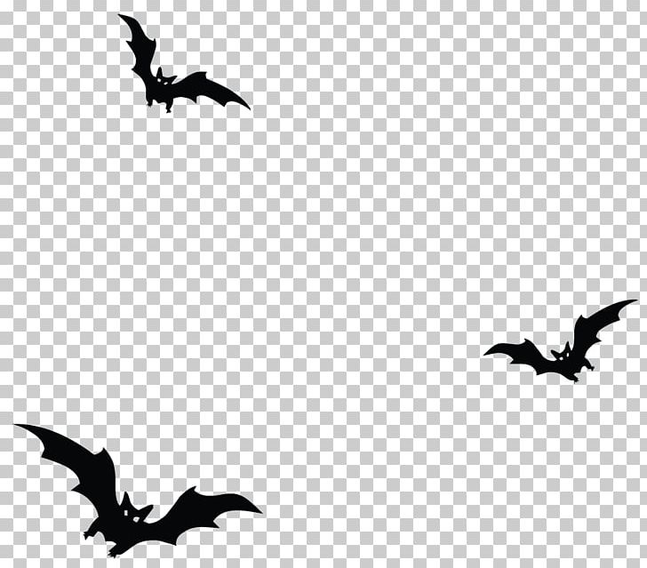 Happy Halloween Photography Monochrome PNG, Clipart, Animal Migration, Beak, Bird, Bird Migration, Black And White Free PNG Download