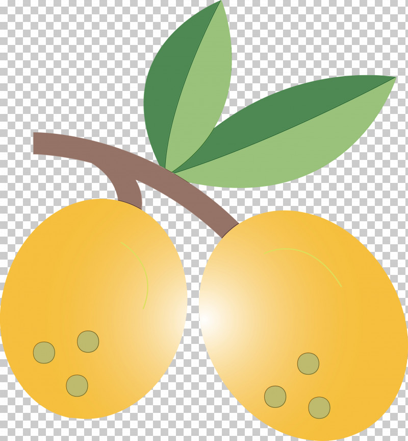 Fruit Tree PNG, Clipart, Citrus, Fruit, Fruit Tree, Grapefruit, Kumquat Free PNG Download