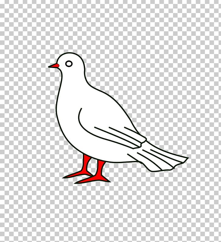 Beak Line Art Feather PNG, Clipart, Area, Art, Artwork, Beak, Bird Free PNG Download