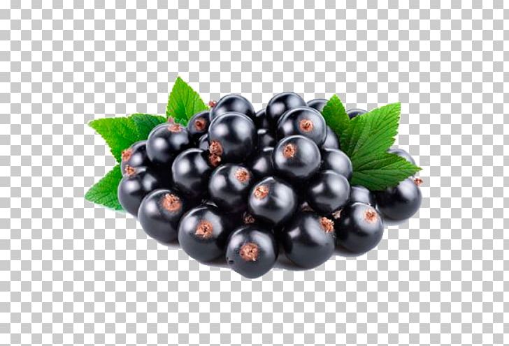 Blackcurrant Redcurrant Fruit Gelatin Dessert Squash PNG, Clipart, Berry, Bilberry, Blackcurrant, Blueberry, Currant Free PNG Download