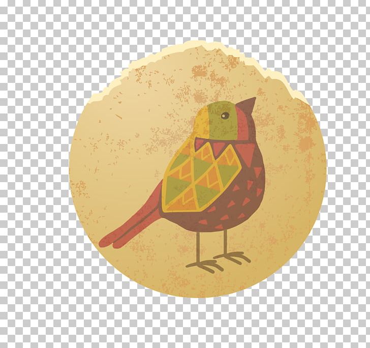 Discover Birds Owl Euclidean PNG, Clipart, Animal, Beak, Bird, Birds, Borders Free PNG Download