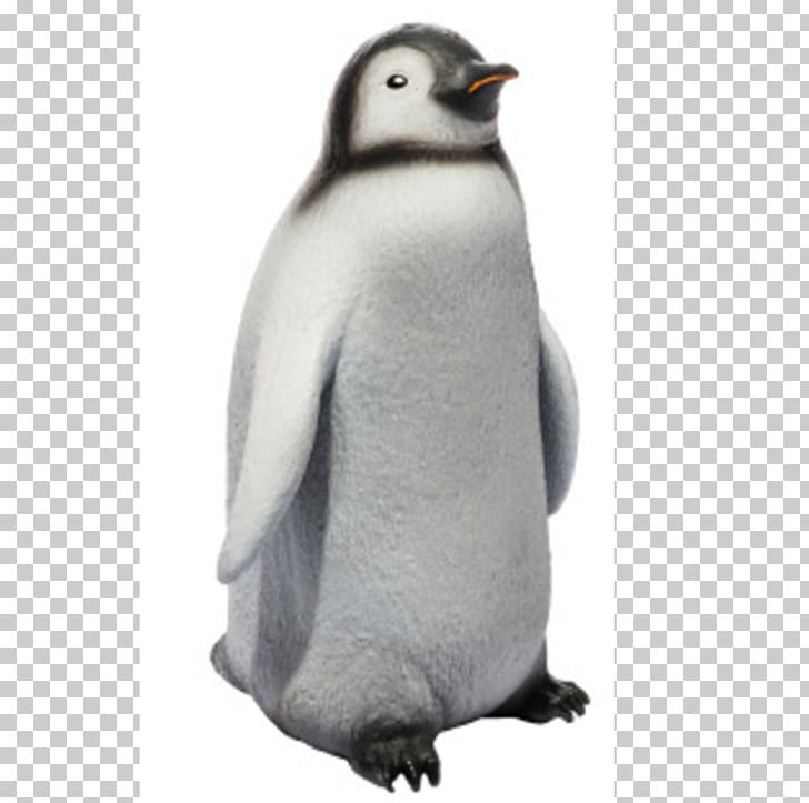 King Penguin Emperor Penguin Bird Animal PNG, Clipart, Animal, Animals, Baby, Beak, Bird Free PNG Download