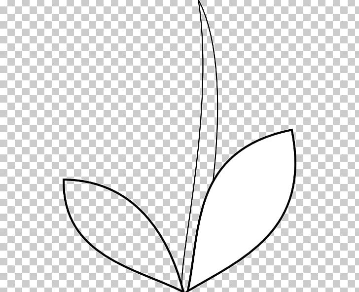 Line Art Point Angle Leaf PNG, Clipart, Angle, Area, Artwork, Black And White, Branch Free PNG Download
