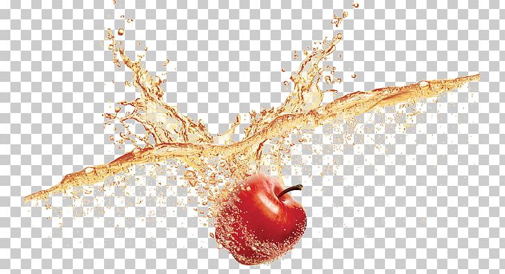 Macintosh Apple Auglis PNG, Clipart, Apple, Apple Fruit, Auglis, Blister, Designer Free PNG Download