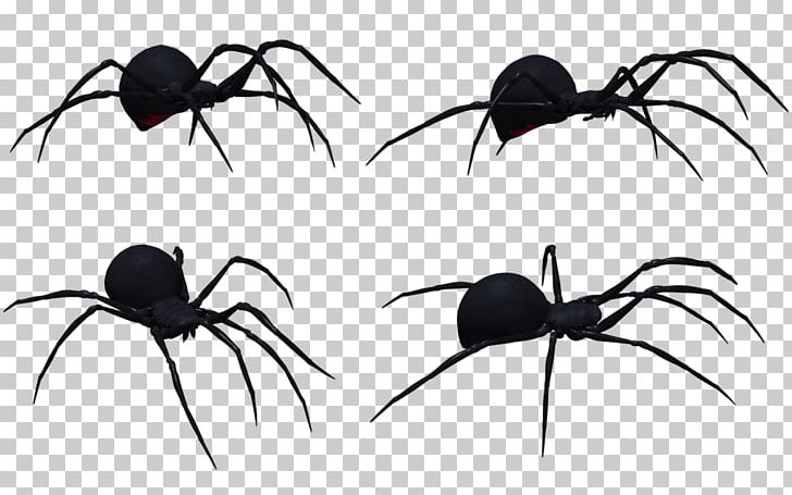 Redback Spider Southern Black Widow PNG, Clipart, Arachnid, Art, Arthropod, Black And White, Black Widow Spider Art Free PNG Download