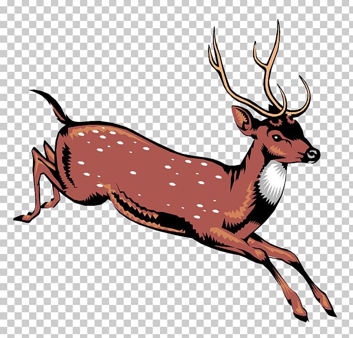 Reindeer Red Deer PNG, Clipart, Animals, Animal Sauvage, Antler, Balloon Cartoon, Boy Cartoon Free PNG Download