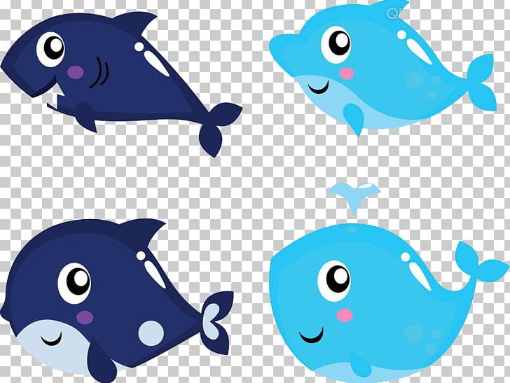 Shark Killer Whale PNG, Clipart, Animals, Aquatic Animal, Area, Balloon Cartoon, Blue Free PNG Download