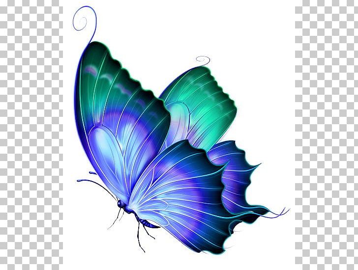 Butterfly Computer Icons PNG, Clipart, Arthropod, Blue, Butterflies, Butterfly, Clip Art Free PNG Download