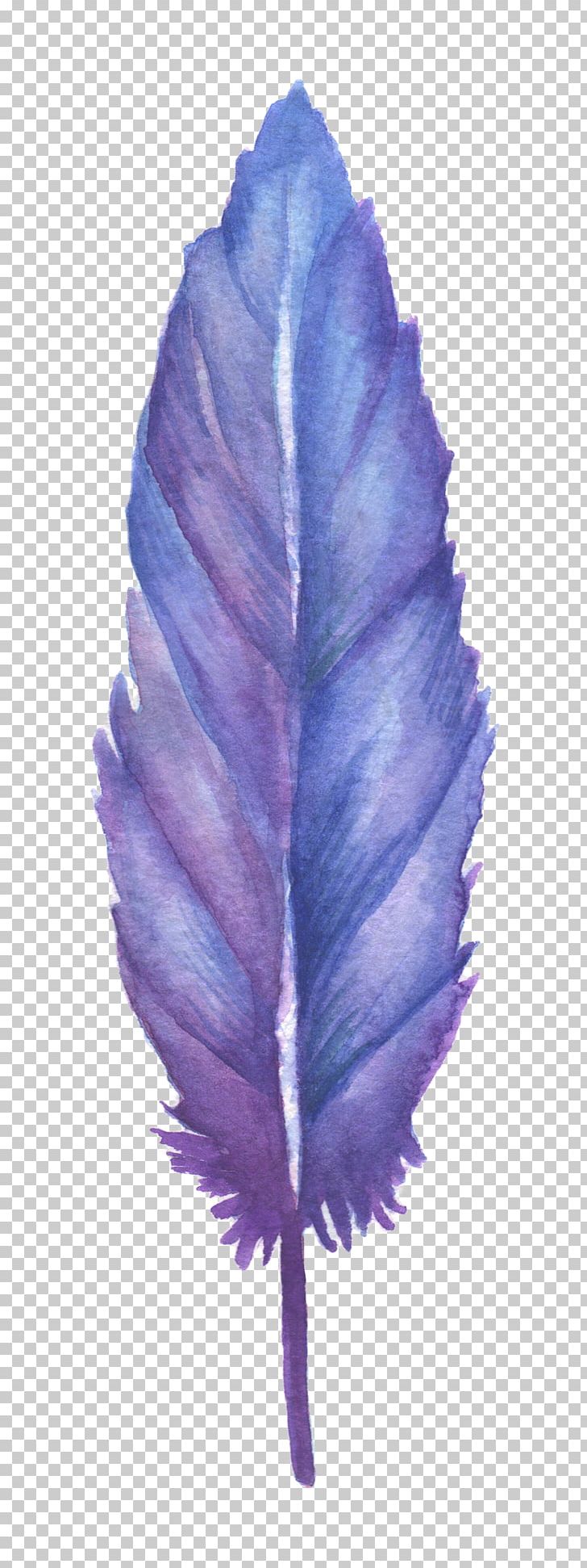 Feather Blue PNG, Clipart, Animal, Animal Feather, Animals, Blue, Blue Abstract Free PNG Download
