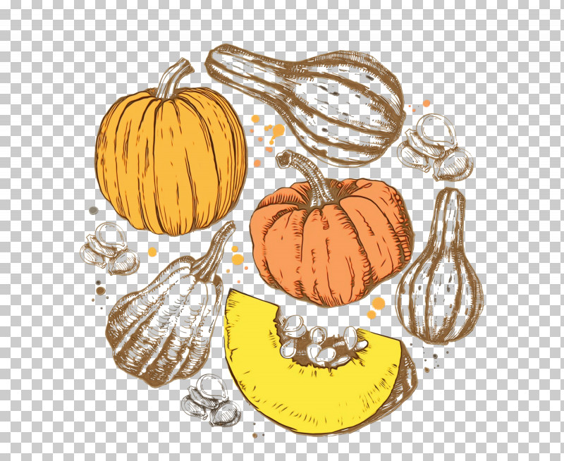 Pumpkin PNG, Clipart, Autumn, Butternut Squash, Calabaza, Cucurbita Maxima, Field Pumpkin Free PNG Download