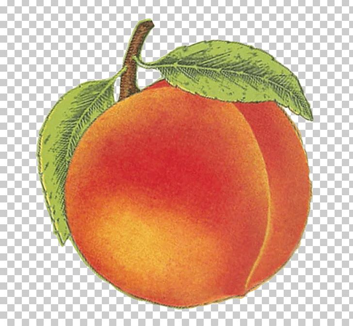 Blood Orange Peach Food Vegetarian Cuisine Wine PNG, Clipart, Apple, Apricot, Bitter Orange, Blood Orange, Citrus Free PNG Download