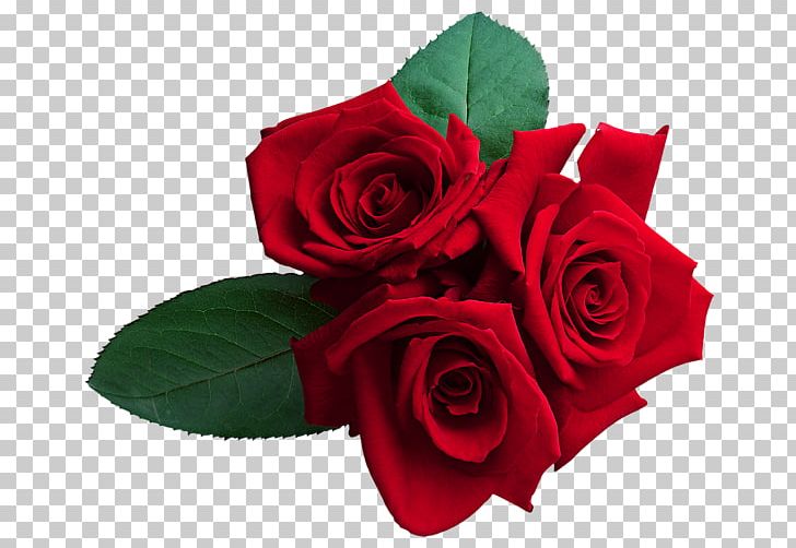 Love Rose Animation PNG, Clipart, Animation, Cut Flowers, Desktop Wallpaper, Floral Design, Floristry Free PNG Download