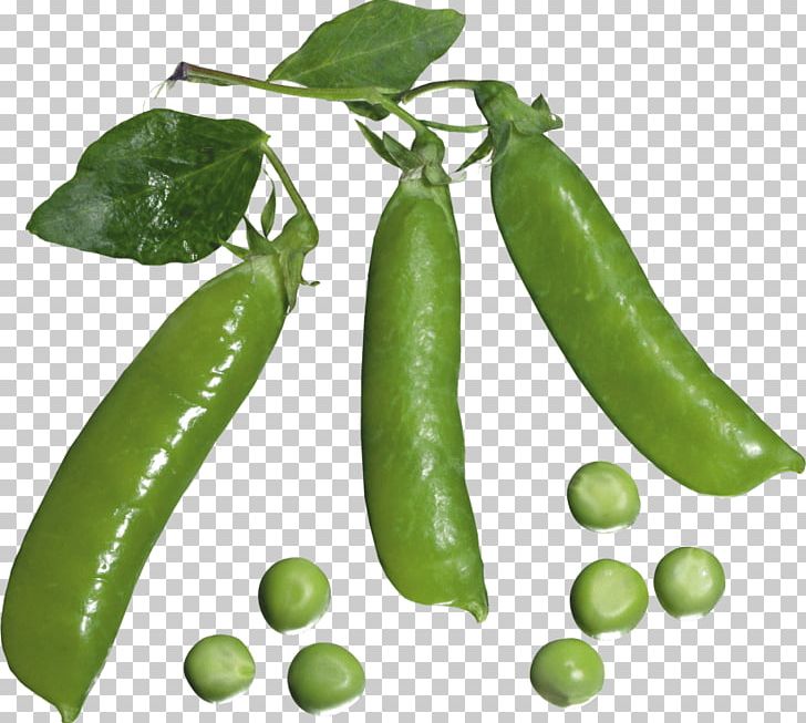 Portable Network Graphics Pisum Sativum Vegetable Bean PNG, Clipart, Bean, Bell Peppers And Chili Peppers, Chili Pepper, Commodity, Common Bean Free PNG Download