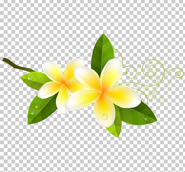 Rose Flower Tulip PNG, Clipart, Cut Flowers, Floral Design, Floristry, Flower, Flowering Plant Free PNG Download