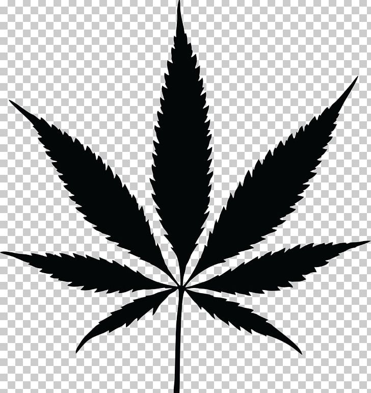 Cannabis Sativa Drawing Smoking PNG, Clipart, Black And White, Cannabinoid, Cannabis, Cannabis Sativa, Drawing Free PNG Download